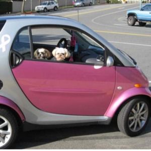 Meet your Posher, Carolyn